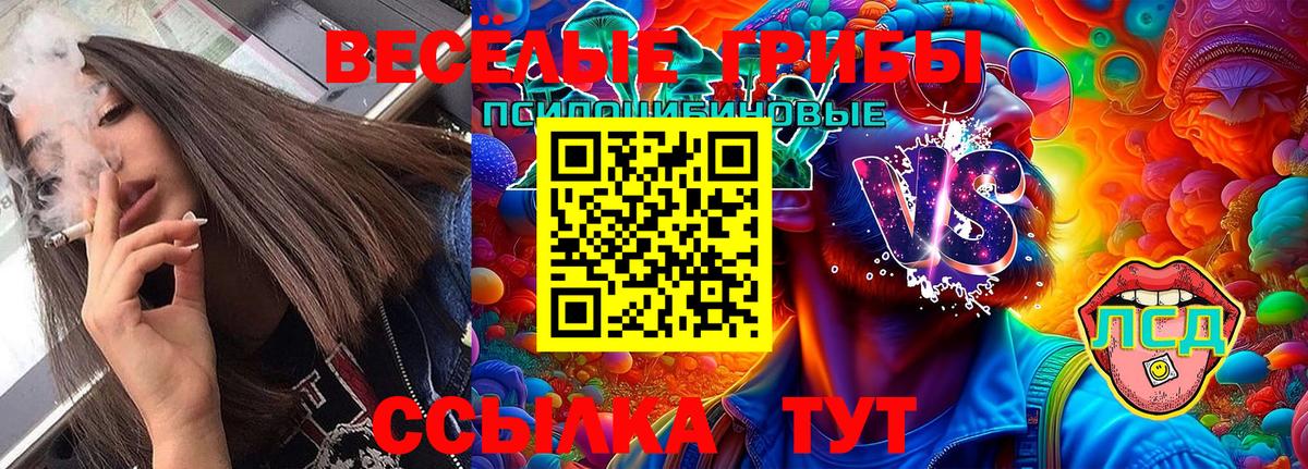 Псилоцибиновые грибы Cubensis Канаш