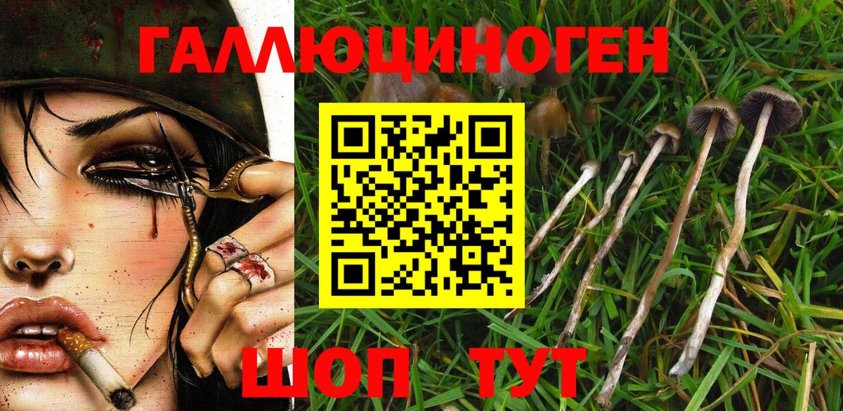 Псилоцибиновые грибы MAGIC MUSHROOMS  Псилоцибиновые грибы Psilocybine cubensis  Канаш  Вход с VPN 