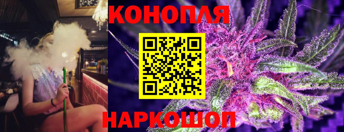 Бошки Шишки ГИДРОПОН Канаш